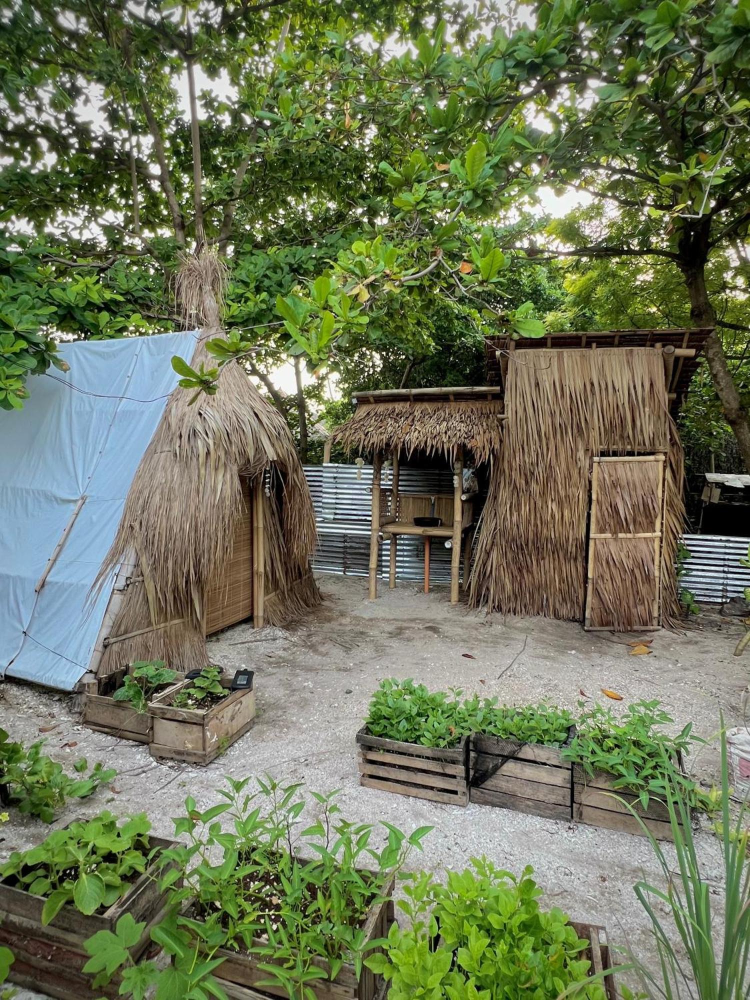 Hostel Tribal Huts Community Daanbantayan Zewnętrze zdjęcie